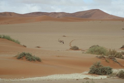 Dune de Namibie