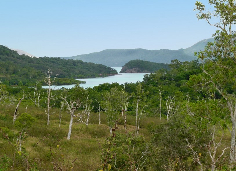 la forêt noyée en Nouvelle Caledonie 