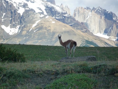 Torres del paine 