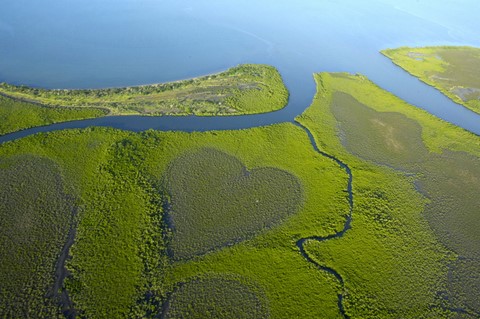 le coeur de Voh 