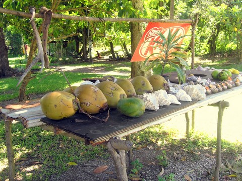 petit marché de la cote Est en Nouvelle Caedonie 