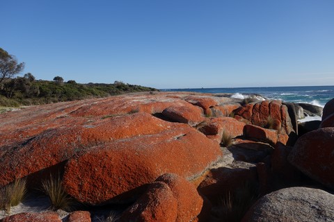 bay or fire en Tasmanie 