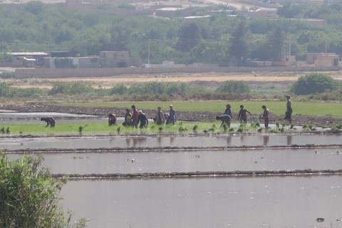 Sur les routes d'Iran