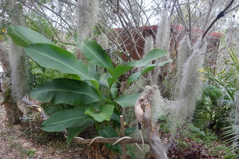 jardin du gite 