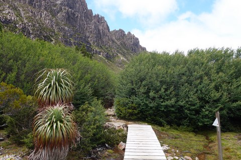 overland track tasmanie 