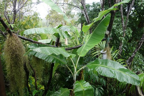 gite tour du monde noumea 