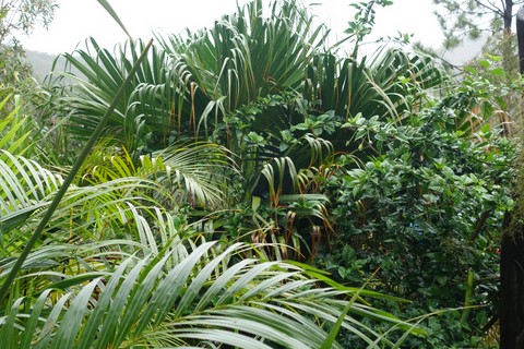 Gite du Tour du Monde Noumea 