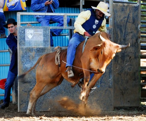 Foire de Bourail en Nouvelle Calédonie 