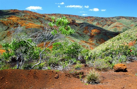 paysage caledonien 