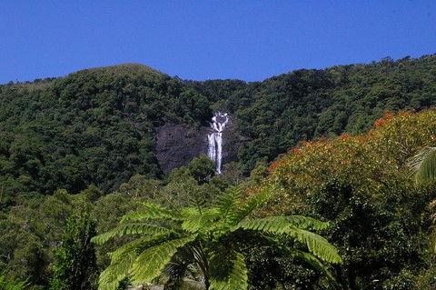 cascade de tao