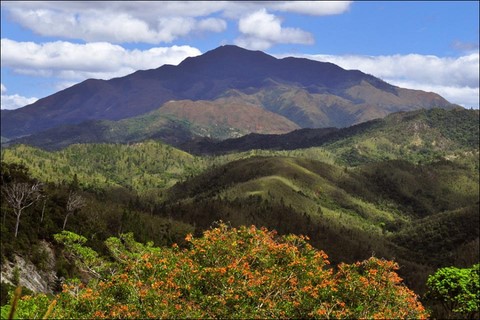 paysage de l'intérieur grande terre 