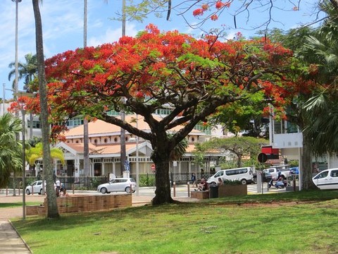 musée de la ville de Noumea 