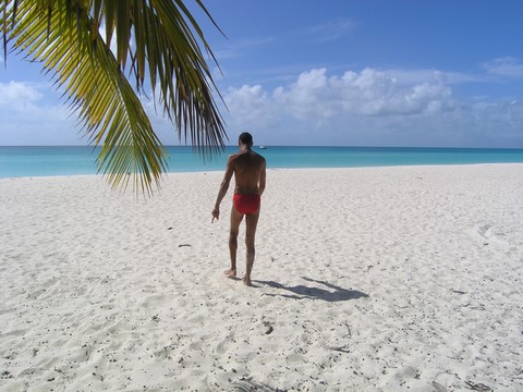 la plage a ouvea en nouvelle caledonie 