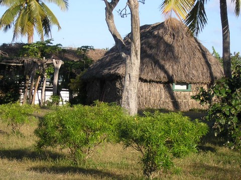 les cases d'ouvea en nouvelle caledonie 