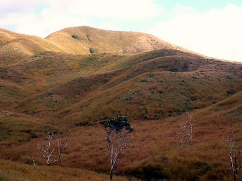 paysage de la tansversale  du Nord de la Nouvelle Caledonie 