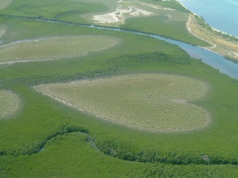 le coeur de Voh en Nouvelle Calédonie 