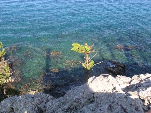 le lagon en nouvelle caledonie 