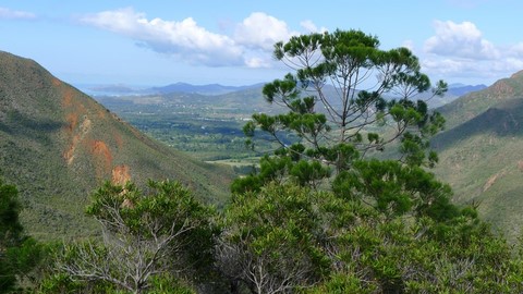 parc provincial de Dumbéa 