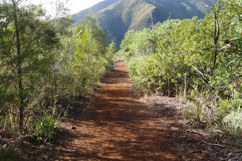 sentier vallée de Dumbéa parc
