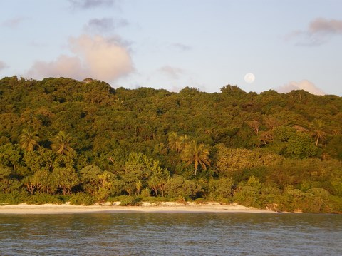 Tiga île loyauté Nouvelle Calédonie 