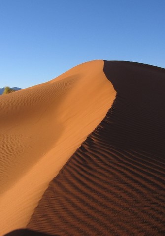 desert de Namibie 