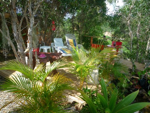 jardin  entre broussard et orient au gîte du tour du monde à Noumea NC