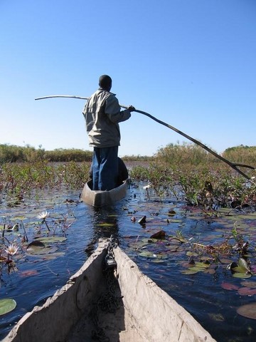 Delta de l'Okavango