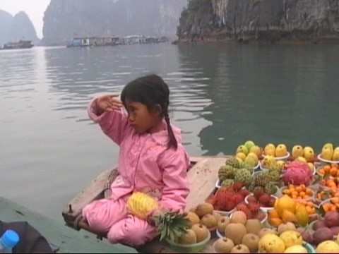 Baie d'Halong au Vietnam