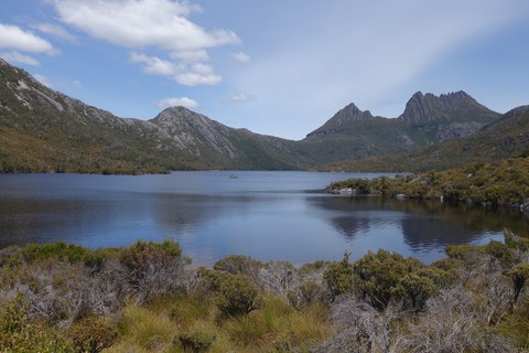 tasmanie craddl mountain