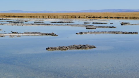 region de san pedro de atacama 