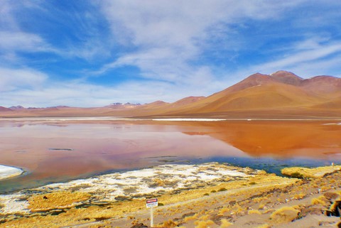 Bolivie sud lipez en altitude 