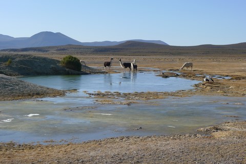 altitude bolivienne 