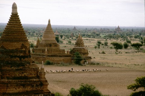 Bagan en Birmanie 