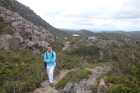 tasmanie  mont fields