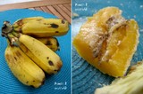 banane poingo 