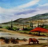 paysage caledonien 