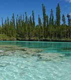 ile des pins piscine naturelle 